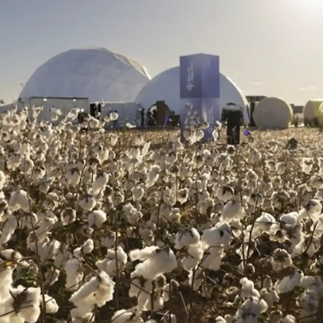 Cotton Summit da BASF, evento organizado pela CI9 em Primavera do Leste (MT)
